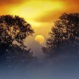 Foggy Sunrise_13476